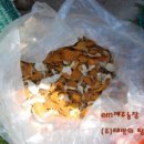 제주산야초