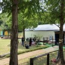 꿈을 찾아서 이미지