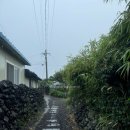 스테이레올 이미지