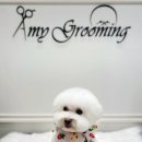 GROOMING107 이미지