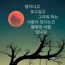 삶에게 길을 묻다/천양희 이미지