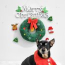 아찌살롱 이미지