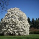 박달농장 이미지