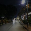 산이랑 강이랑 | 2025 라오스 여행 7,8 (루앙프라방, 비엔티안 - 탁발 체험, 푸시산, 탓 루앙 사원, 메콩강 야시장)