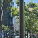 휴먼&카 | 일본 후쿠오카 여행 🐟 3일차 (텐야스, 휴먼메이드, 디젤, 메이카페, 칼디, 로피아, 야끼토리 카곤마)