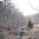 생거진천자연휴양림 | 생거진천자연휴양림 참나무5호 평일 숙박 3만원 진천숙소