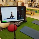 스타트핏 이미지