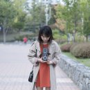 이안TL 이미지
