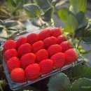 아람유통 이미지