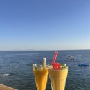 담게스트하우스 | [🇪🇬이집트] 지키하우스 다합 숙소 게스트하우스 추천 내돈내산 후기 [2]