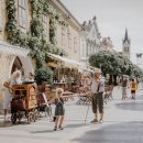 브레인피트니스 이미지