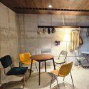 멋진강아지 | 영종도 강아지운동장이 있는 카페 빌리앤오티스 후기