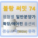 성남이로38번길 이미지