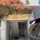 성수 원데이클래스 추천 라쿵베이커리 헬로키티 마들렌 내돈내산 후기