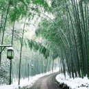 나를 위한 하루 이미지