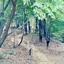 수리산 임도오거리 화장실 이미지