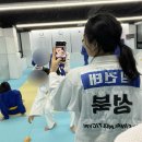 패션 근육,유도 원데이클래스,강아지들