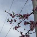 원주굽이길 14코스 흥업캠퍼스낭만길 이미지