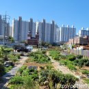 대주농장3 이미지