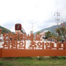 김부장투어