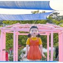 할리베어 이미지