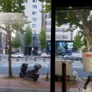 새울림약국 이미지