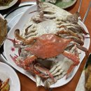 거제활어 | 수원 조원동 맛집 '거제활어' 횟집 제철 꽃게찜 내돈내산 후기