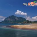 (주)오렌지여행