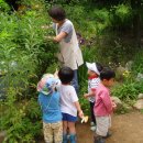 보리수 열매를 따 먹어요. 이미지