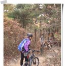 레드바이크 이미지