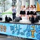 평창군청 이미지