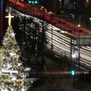 메디컬트리 이미지