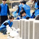 (주)한진정화