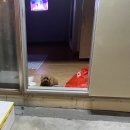 산마루펜션민박 이미지