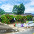 소나무집 이미지