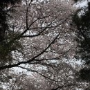 가락초등학교 이미지