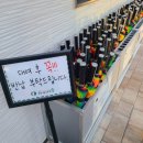 용인 자작나무 숲 카페베툴라 방문후기, 주차, 카페 이용정보
