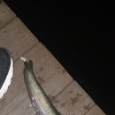 삼미낚시터 이미지