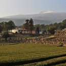 밭다실농원 이미지