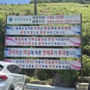 충북 음성에 이런 곳이 있었어? 직접 가보고 놀랐던 대지공원묘원