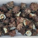 하고수동 탈의장 이미지