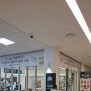 오행컬러푸드
