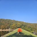 산우물 | [안성 캠핑장] 산우물쉼터오토캠핑장 후기-1 (시설 편)