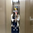 킁킁펫살롱 | @6월 주간일기 1
