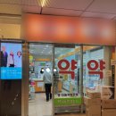 소명약국 | 강남 ㅂㅇㅂ안과 고도근시 라섹 후기/ 라섹 꿀팁 가득/ 가격, 지인할인, 주차 정보/ 광고X 내돈내산