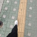 쁘니네지지미 | 아 이번에도 어김없이 돌아온 챌린지 걸
