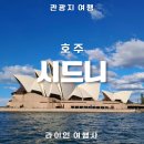푸른바람여행사