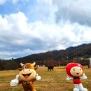 장수 터미널 이미지