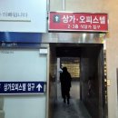 까멜리아 이미지