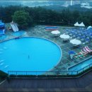 대명골프 이미지